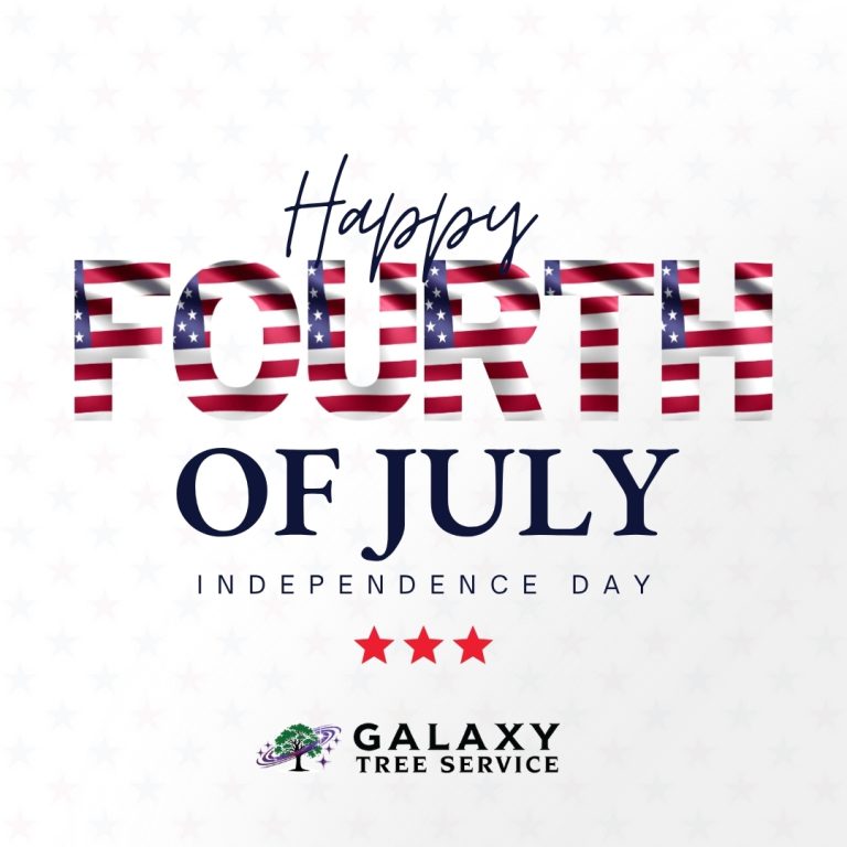 Happy independence Day 2025