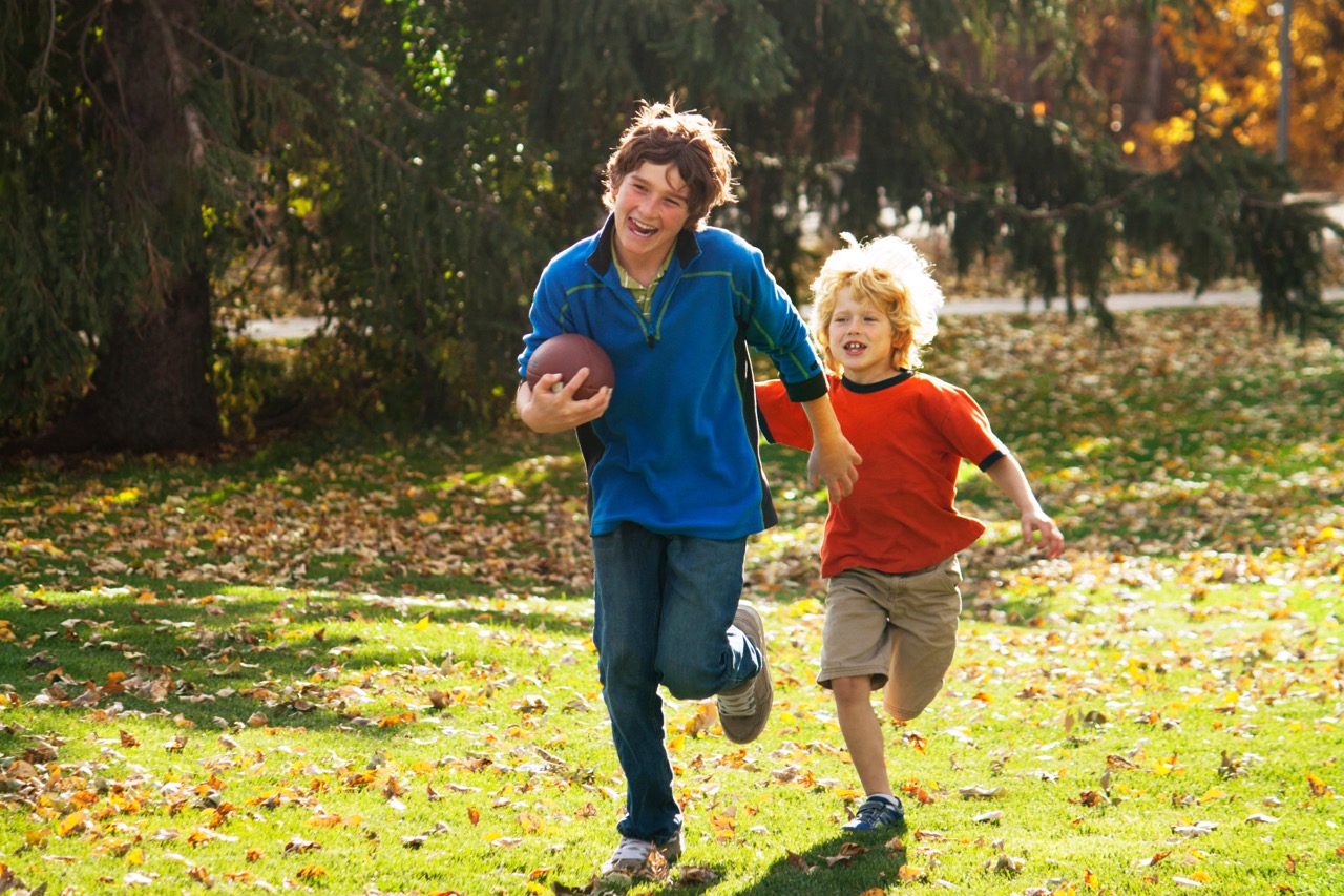 Where Do Your Trees Rank This Season? - Galaxy Tree Service